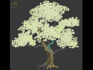 birch 61 3D Model