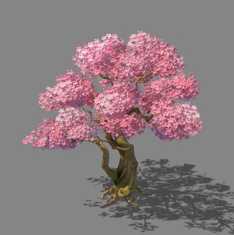 birch 62 3D Модель .c4d .max .obj .3ds .fbx .stl .blend 