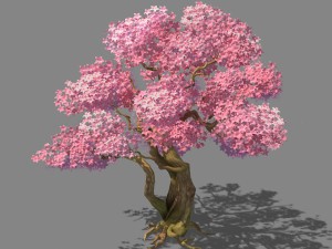 birch 62 3Dモデル