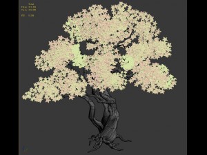 birch 62 3D Модель
