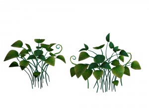 cartoon forest - tree sea plant 01 3D Модель