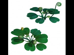 cartoon forest - tree sea plant 02 3D Model