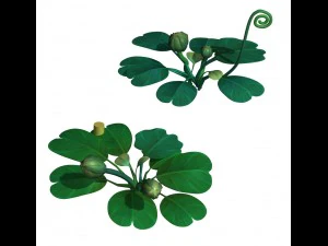 foresta dei cartoni animati - albero pianta marina 02 Modello 3D