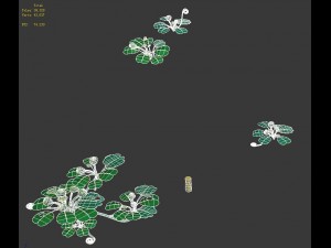 cartoon forest - tree sea plant 02 3Dモデル