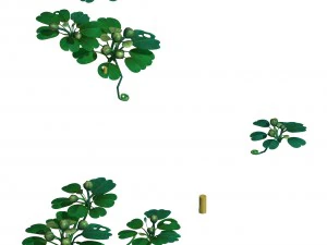 cartoon forest - trees plant 03 3D Model