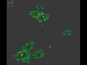 cartoon forest - trees plant 03 3D Model
