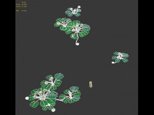 cartoon forest - trees plant 03 3D Model