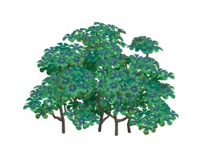 cartoon plant - shrub 3Dモデル
