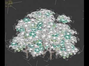 cartoon plant - shrub Modello 3D