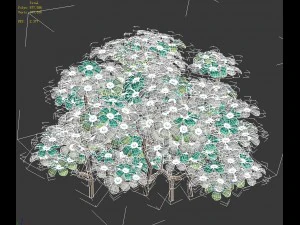 cartoon plant - shrub 3D Model