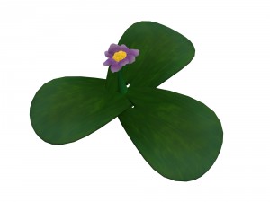 cartoon plant - clover 3D Model