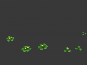 cartoon plant - clover 3D Model
