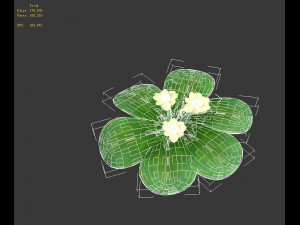 cartoon plant - clover 3D Model