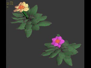 cartoon plant - small plant 3D Model