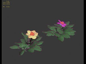 cartoon plant - small plant Modelo 3D