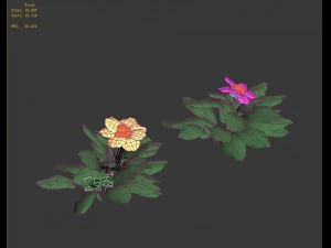 cartoon plant - small plant 3D Model