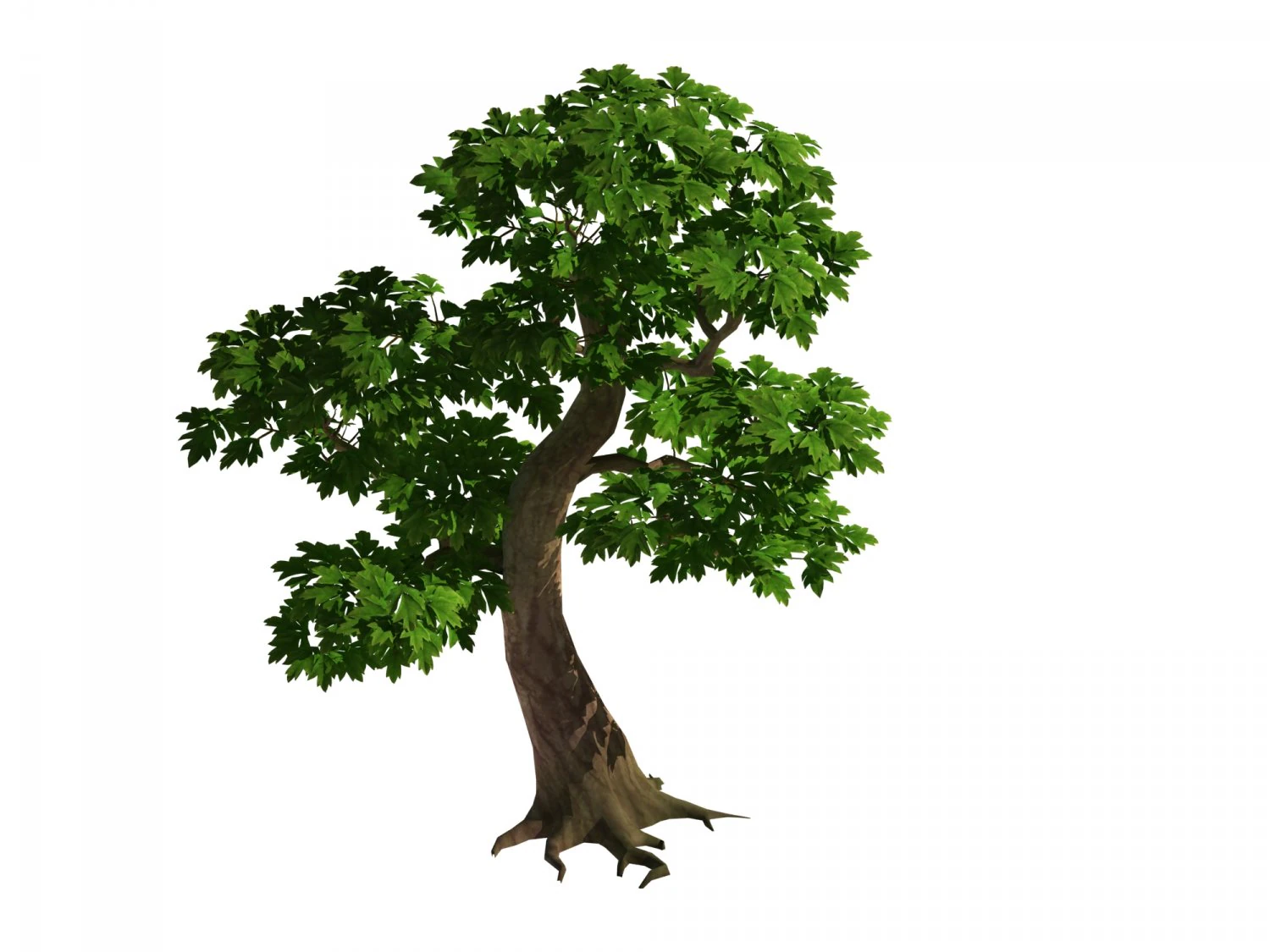 moli cliff - tree 01 3D Model .c4d .max .obj .3ds .fbx .stl .blend 