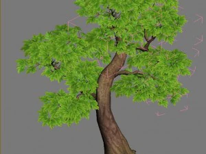 moli cliff - tree 01 3D Model
