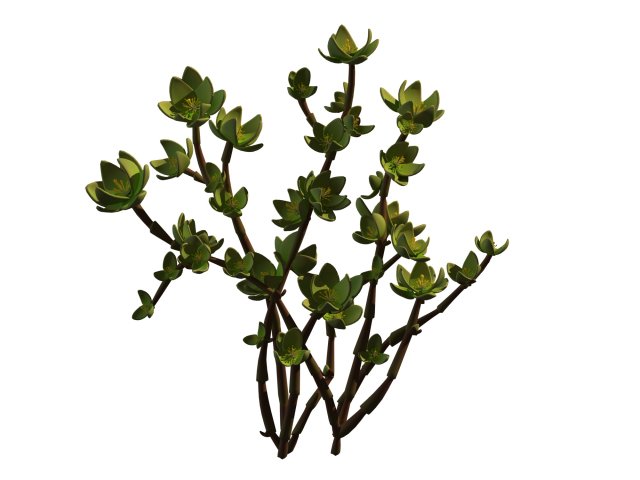 mount cliff - small plant 01 Model 3D .c4d .max .obj .3ds .fbx .stl .blend 