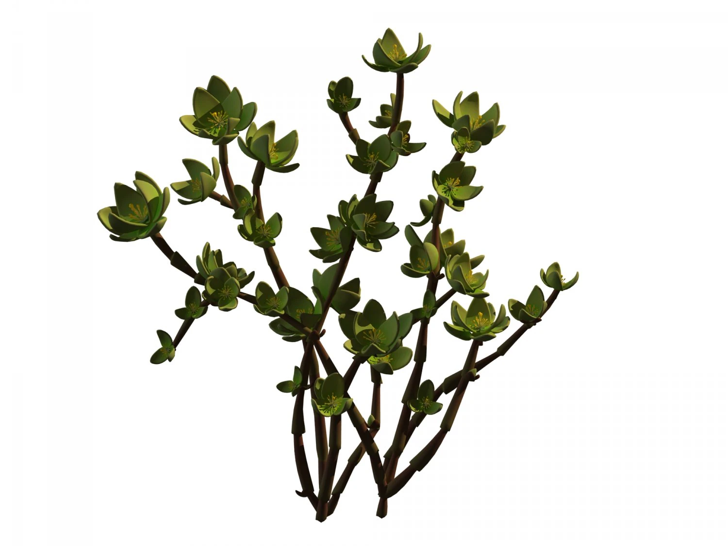 mount cliff - small plant 01 3D Model .c4d .max .obj .3ds .fbx .stl .blend 