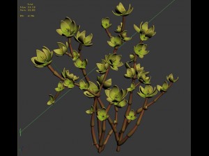 mount cliff - small plant 01 Model 3D