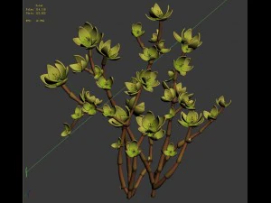 mount cliff - small plant 01 3D Model
