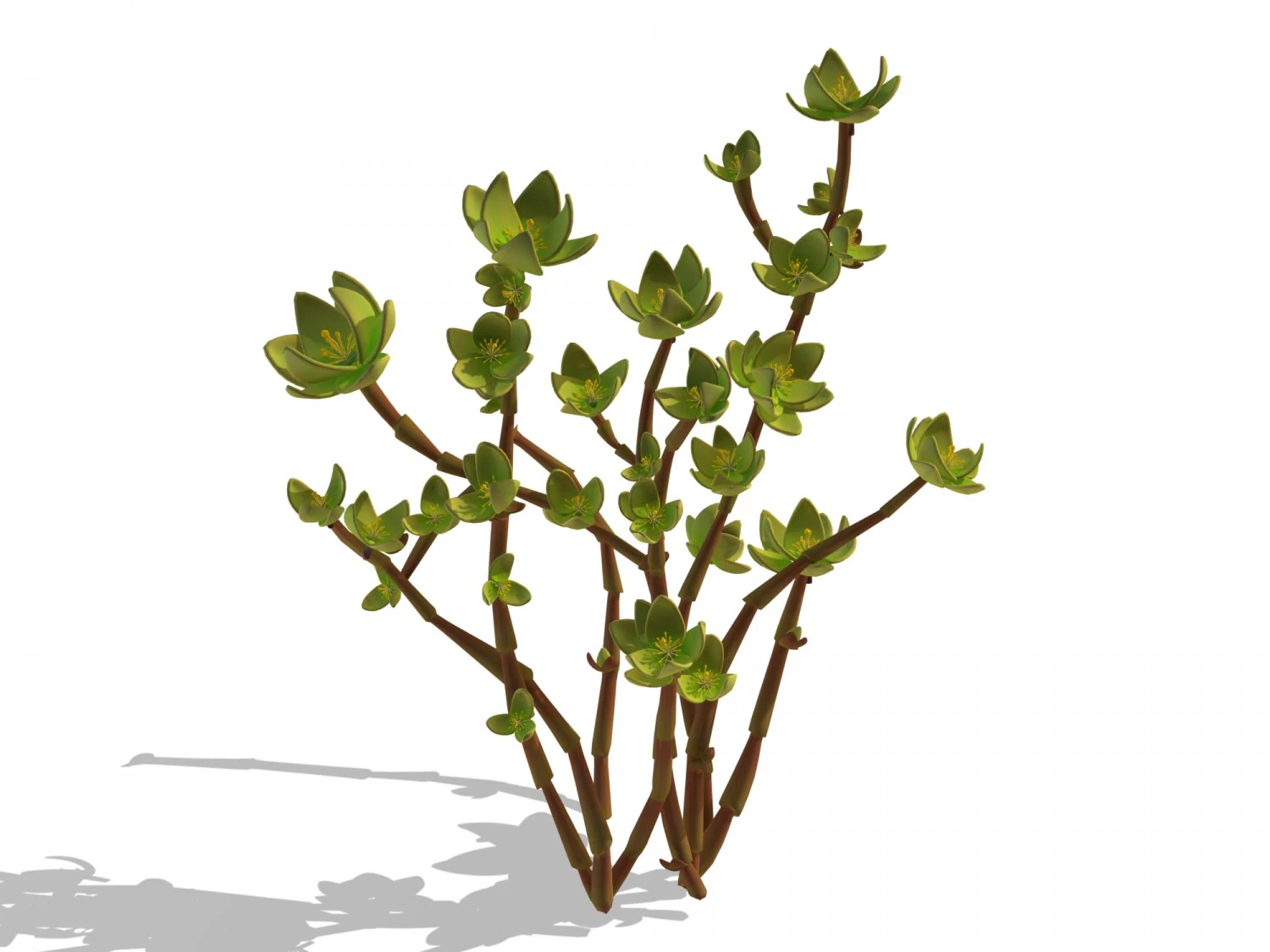 mount cliff - small plant 02 3D Model .c4d .max .obj .3ds .fbx .stl .blend 