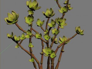 mount cliff - small plant 02 Modèle 3D