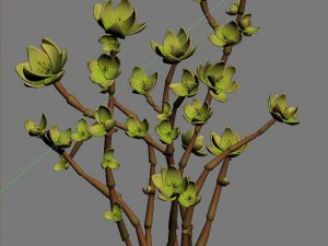 mount cliff - small plant 02 3D Model
