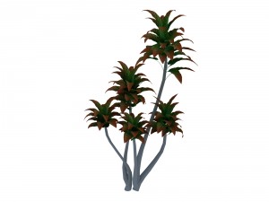 mount cliff - small plant 03 3D Model