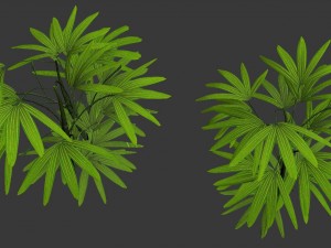 mount cliff - small plant 04 3D Model