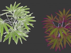 mount cliff - small plant 04 3D Model