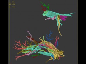 nibelungen - dead tree 3D Model