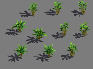 daughter village - banana tree 3Dモデル