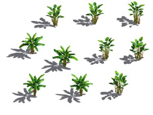 daughter village - banana tree 3D-Modell
