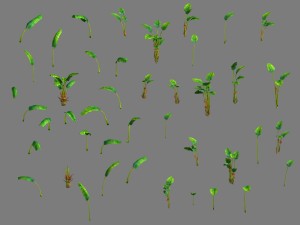 daughter village - banana tree 3D-Modell