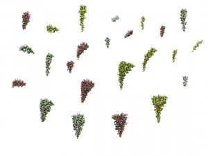 daughter village - hanging flowers 3D Model