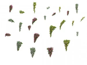 daughter village - hanging flowers 3D Model