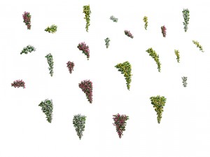 daughter village - hanging flowers 3D Model