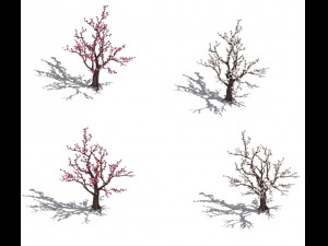 daughter village - plum tree Modello 3D