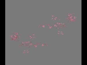 daughter village plant - falling peach 01 3Dモデル