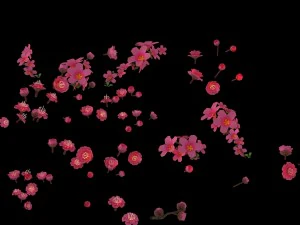 daughter village plant - falling peach 01 3D Model