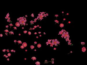 daughter village plant - falling peach 01 3D Model