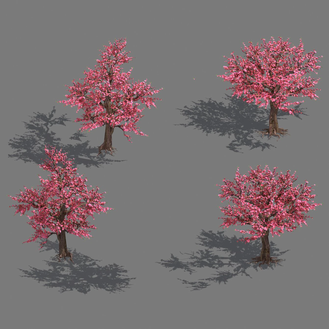 daughter village plant - peach tree 032 3D Model .c4d .max .obj .3ds .fbx .stl .blend