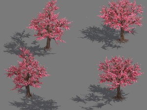 daughter village plant - peach tree 032 3Dモデル