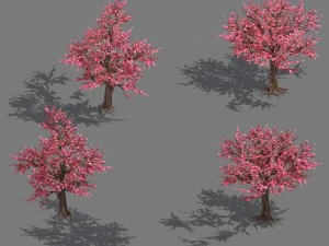 pianta del villaggio figlia - pesco 032 Modello 3D