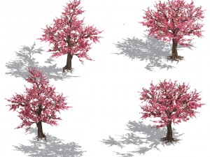 daughter village plant - peach tree 032 Modelo 3D