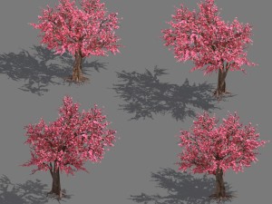 daughter village plant - peach tree 032 Modelo 3D