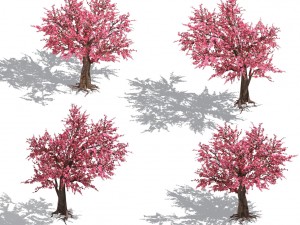 daughter village plant - peach tree 032 Modelo 3D