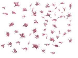 daughter village plants - peach branches 3D 모델